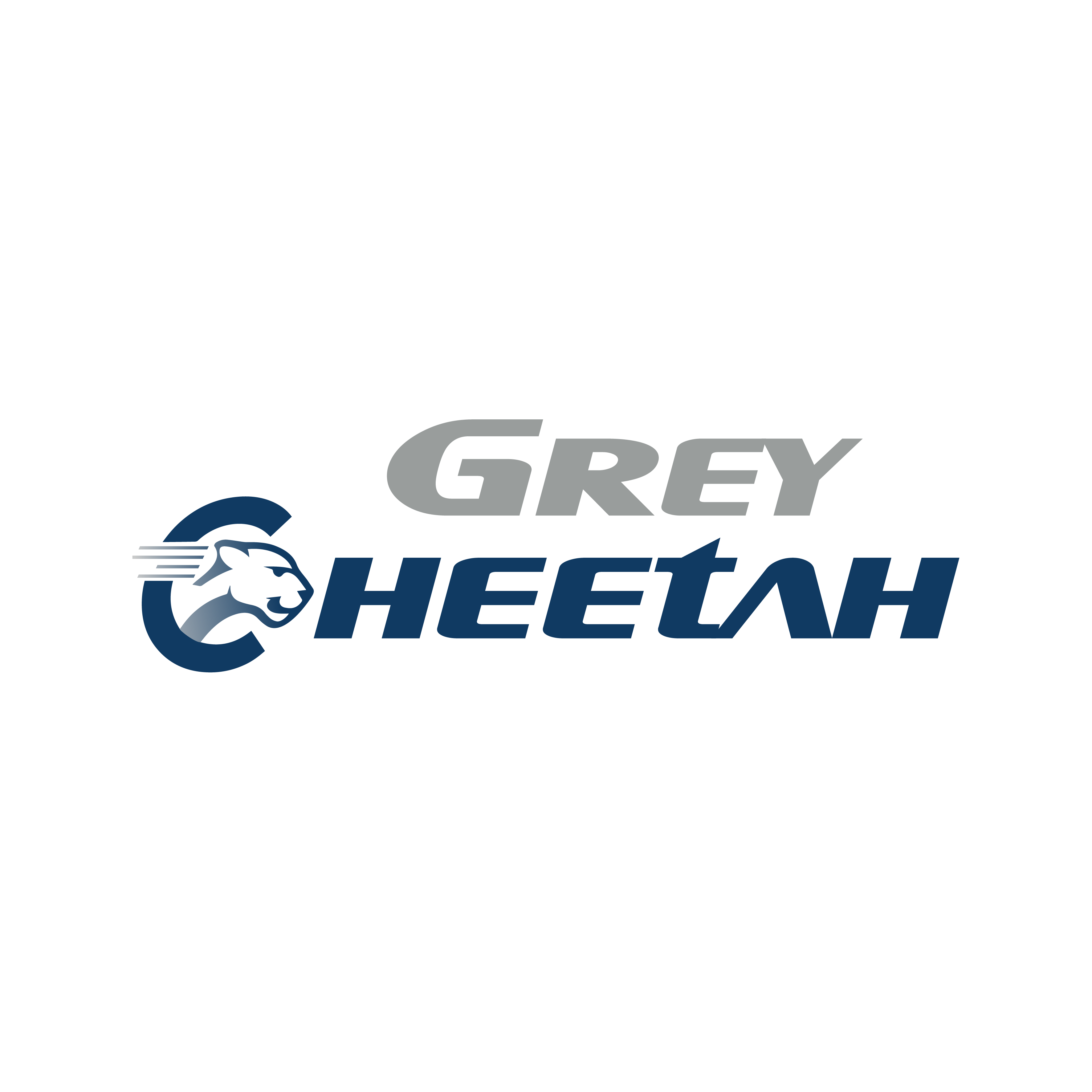 Grey Cheetah Logo
